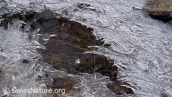 Foto: Eisdecke mit Eisgebilden über langsam fliessendem Wasserlauf.