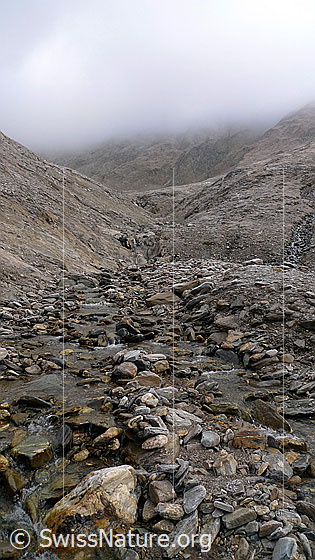 Foto: Bachbett und urtümliche Felslandschaft eines Hochtals. Das Wasser rinnt zwischen den zahlreichen Steinen in unterschiedlicher Farbe und Gesteinsart hindurch. Im Hintergrund staut sich Nebel an den Bergflanken.