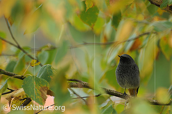 Photo: 