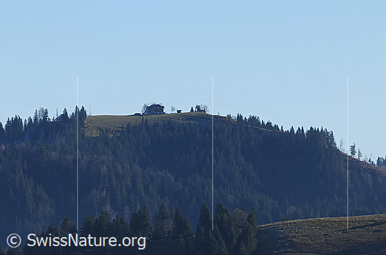 Foto: Napf von der Hohmatt.