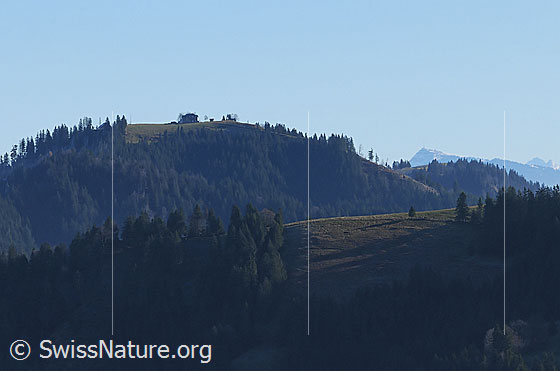 Foto: Napf von der Hohmatt.