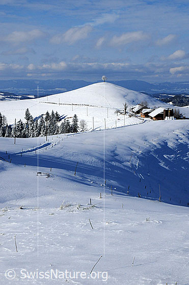 Foto: Neuschnee in Hügellandschaft.
Winterlandschaft auf einer Alp im Emmental. Ein schneebedeckter Fahrweg führt an einem Alpbetrieb und einem Hügel mit Baum vorbei. Der Wald ist frisch verschneit. Im Hintergrund ist die Jurakette erkennbar.