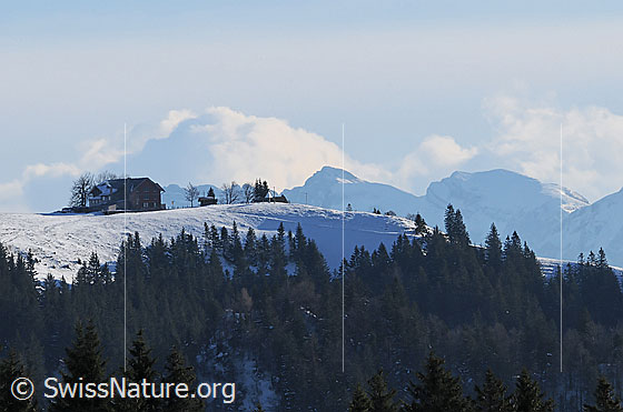 Foto: Napf im Winter (vom Höchänzi aus gesehen).