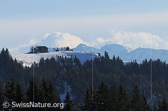 Foto: Napf mit Schnee (vom Höchänzi aus gesehen).