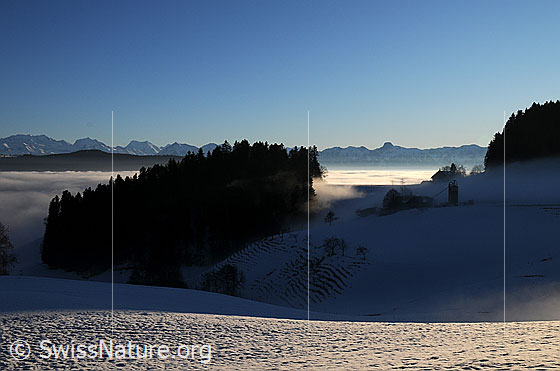 Foto: Nebelmeer im Abendlicht und Bergkette im Hintergrund. Das enge Tal im Vordergrund und die Wälder liegen bereits im Schatten. Nebelschwaden ziehen über eine schneebedeckte Anhöhe mit Bauernhof.