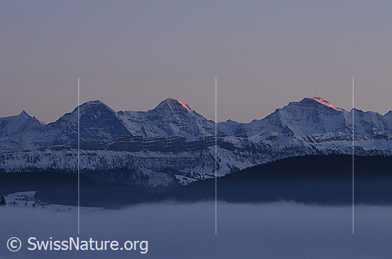 Foto: Dreigestirn und Sieben Hengste mit Nebelmeer im Vordergrund. Letztes Abendlicht fällt auf die Gipfel von Eiger, Mönch und Jungfrau.