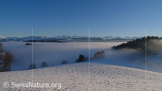 Foto: Nebelmeer über dem schneebedeckten Emmental. An der Nebelgrenze steigen Nebelschwaden auf. Im Hintergrund ist die Bergkette der Berner Alpen zu sehen.