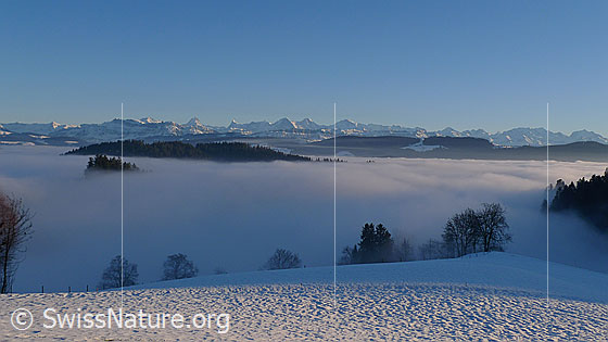 Foto: Nebelmeer im Winter. Nebelmeer über dem schneebedeckten Emmental. Bewaldete Hügelzüge ragen aus dem Nebel. Im Hintergrund ist die Alpenkette der Berner Alpen zu sehen.