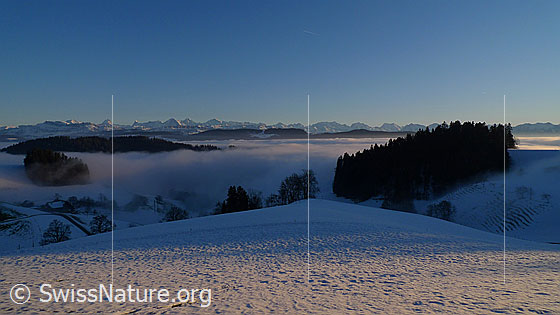 Foto: Nebelmeer über dem schneebedeckten Emmental. Bewaldete Hügelzüge ragen aus dem Nebel und an der Nebelgrenze ist ein Bauernhof erkennbar. Im Hintergrund ist die Alpenkette der Berner Alpen zu sehen.