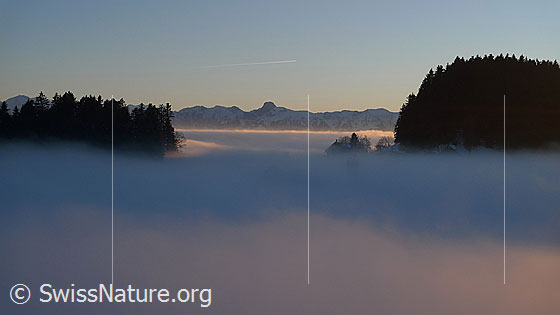 Foto: Nebelgrenze auf einer Anhöhe mit Wäldern und einem Bauernhof mit Blick zur Stockhornkette. Schwaches Abendlicht fällt auf das Nebelmeer.