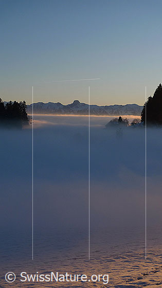 Foto: An der Nebelgrenze. Wenig Abendlicht fällt noch auf das Nebelmeer entlang der Stockhornkette.