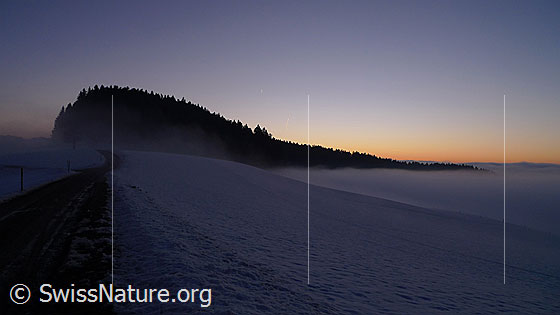 Foto: Abendstimmung an der Nebelgrenze. Das Nebelmeer staut sich an einem bewaldeten Hügelzug. Über die Anhöhe im Vordergrund führt ein Weg und Nebelschwaden ziehen sanft über die schneebedeckte Landschaft.