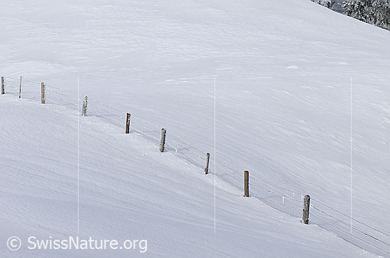 Foto: Weidezaun im Schnee