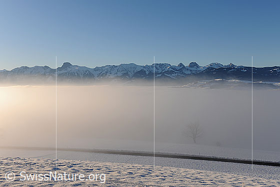 Foto: Nebelmeer über dem Aaretal und Bergkette im Hintergrund. Zu sehen sind Stockhorn, Hohmad, Nünenenfluh, Gantrisch, Bürglen und Ochsen.