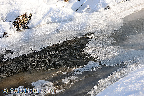 Foto: Wassereis mit Strukturen auf der Eisoberfläche und offener Stelle im zugefrorenen Bach. Am Ufer liegt Schnee.
