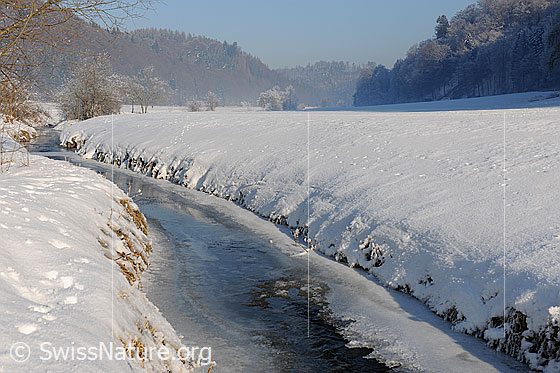 Foto: Zugefrorener Bach in Winterlandschaft. Das schneebedeckte Ufer spiegelt sich im Wasser auf der Eisoberfläche. Im Hintergrund sind Wälder zu sehen.