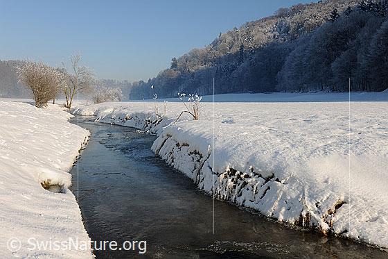 Foto: Winterlandschaft mit zugefrorenem Bach. Die Landschaft ist schneebedeckt. An den Sträuchern am Ufer und den Wäldern im Hintergrund hat sich Raureif gebildet.
