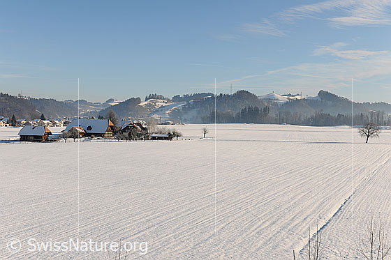Foto: Bauernhof auf schneebedeckter Ebene.
