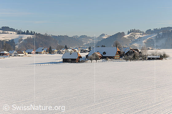 Foto: Siedlungsgebiet mit neuer Überbauung und älteren Bauernhäusern auf einer schneebedeckten Ebene.