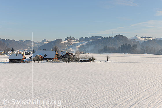 Foto: Bauernhof auf verschneiter Ebene.