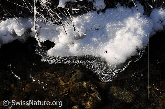 Foto: Eisgebilde über dem Bach. Auf dem Eis liegt Schnee und Raureif.