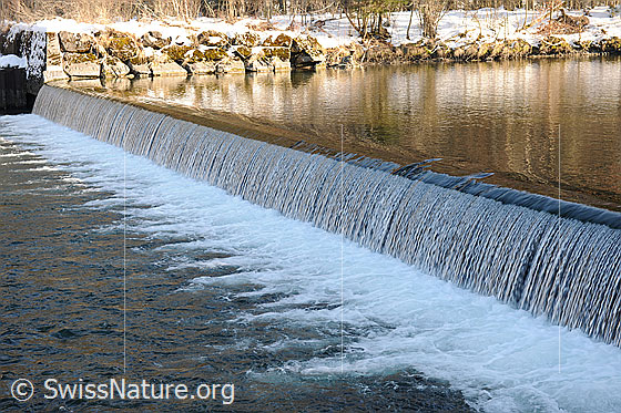 Foto: Schwelle in der Emme (Emmeschwelle). Das Wasser fliesst ruhig auf die Schwelle zu, stürzt sich hinab und schäumt auf.