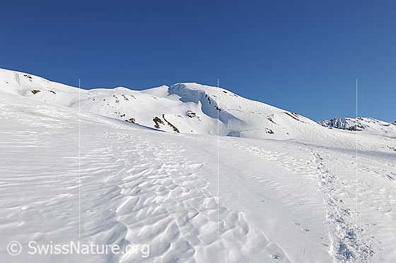 Foto: Holzerspitz, Binntal, Walllis.
Der Wind hat auf der Schneeoberfläche Strukturen entstehen lassen. Ebenfalls eine Schneeschuhspur führt durch das offene Gelände mit kompakter Schneedecke.