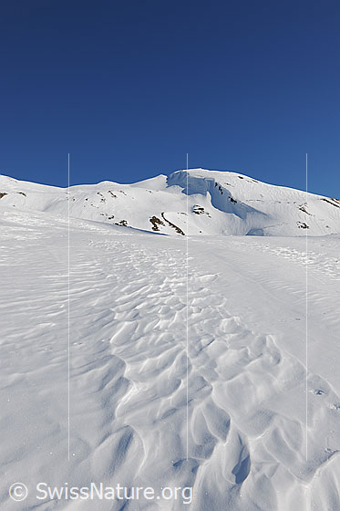 Foto: Strukturen im Schnee.
Blauer Himmel über dem schneebedeckten Holzerspitz und vom Wind geschaffene Strukturen in der Schneedecke.