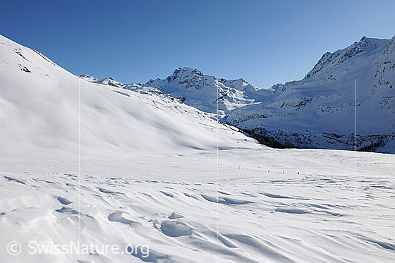 Foto: Schneefläche mit Verwehungen. Schneeverwehungen in offener Schneefläche und Berglandschaft mit Licht und Schatten. Im Hintergrund ist das Ofenhorn zu sehen.