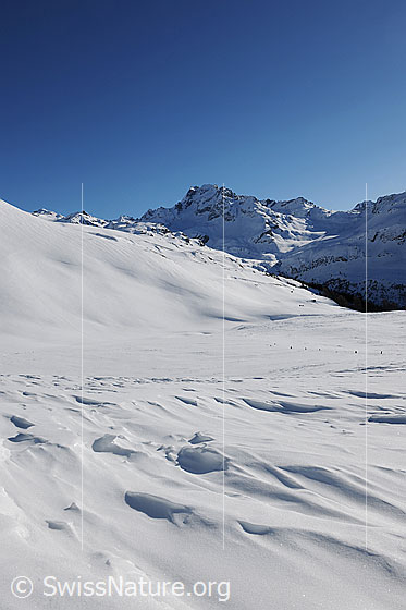 Foto: Verwehungen in der Schneedecke und Berglandschaft mit Licht und Schatten. Im Hintergrund ist das Ofenhorn zu sehen.