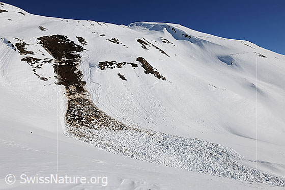 Foto: Grundlawine in steilem Berghang. Der Lawinenkegel ist im oberen Teil mit Erde vermischt.