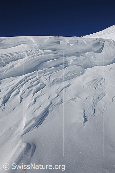 Foto: Vom Wind geformte Strukturen in der Schneemasse einer Wechte.