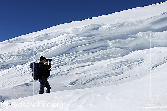 Foto: Fotografin vor Wächte. Die Schneeverwehung weist verschiedenartige Strukturen auf.
