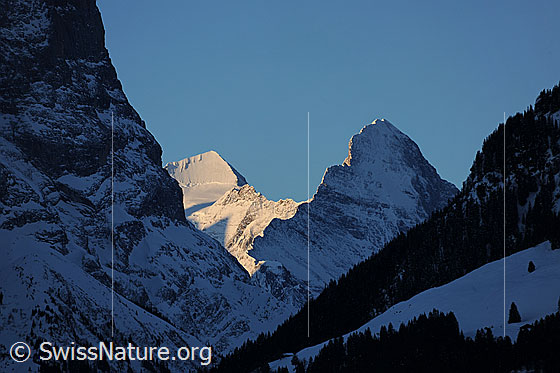 Foto: Morgenstimmung mit Mönch und Eiger.
Blick über das Reichenbachtal und die Grosse Scheidegg zu Mönch und Eiger.
Markanter Grat am Eiger: Mittellegigrat.
Links die Nordwand des Scheideggwetterhorns.