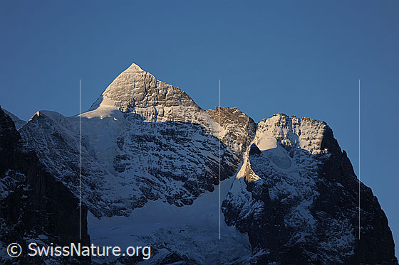 Foto: Morgenstimmung an Wetterhorn und Scheideggwetterhorn.
Gletscher: Hengsterengletscher.
