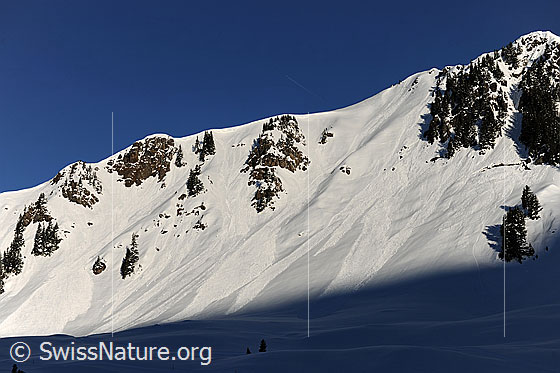 Foto: Schneerutsche in den Flanken der Leitistöck.