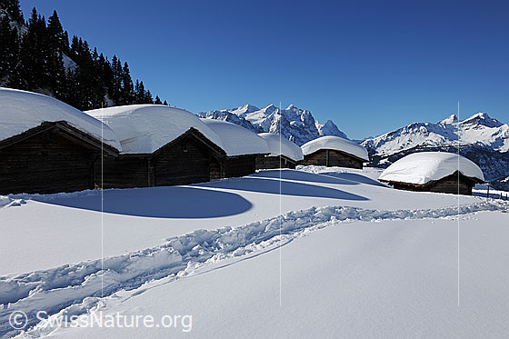 Foto: Alphütten mit dicker Schneeschicht auf dem Dach.