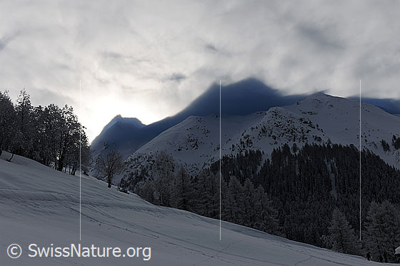 Foto: Bergkonturen als Schatten in Nebel und Winterlandschaft mit verschneite Tannen- und Lärchenwäldern.