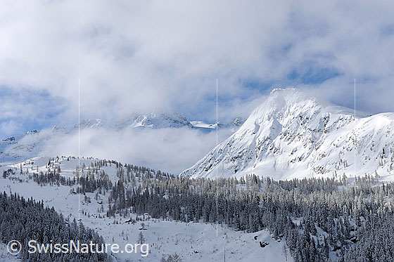 Foto: Nebelschwaden und Neuschnee in Walliser Berglandschaft.