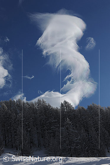 Foto: Wolkensäule über verschneitem Lärchenwald.