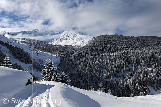 Foto: Neuschnee in den Bergen.
Stimmungsvolle Berglandschaft mit frisch verschneiten Tannen und Wäldern. Darüber lösen sich Wolken und Nebel auf. Die Landschaft ist mit einer hohen Schneedecke bedeckt. Der Weg im Vordergrund weist Spuren auf.