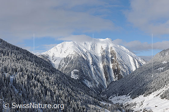 Foto: Nebelreste über dem Binntaler Breithorn mit seinen ausgeprägten Rinnen. Die Bergwälder sind frisch verschneit.