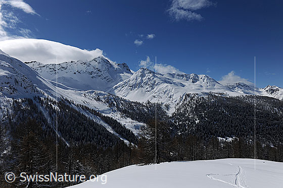 Foto: Schnee in den Bergen.
Tief verschneite Berglandschaft mit Schwarzhorn, Stockhorn und ausgedehnten Bergwäldern. In der Schneefläche im Vordergrund sind Schneeschuhspuren zu sehen.
