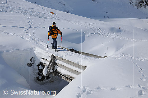Foto: Eine Schneeschuhläuferin überquert eine schneebedeckte Brücke. Die Schneedecke ist gleich hoch wie das Brückengeländer.