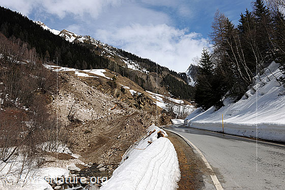 Foto: Lawinenkegel und Strasse. Unter den Schneemassen quillt der Bergbach Binna hervor. Die Berghänge sind mit Schutzwäldern bewachsen.