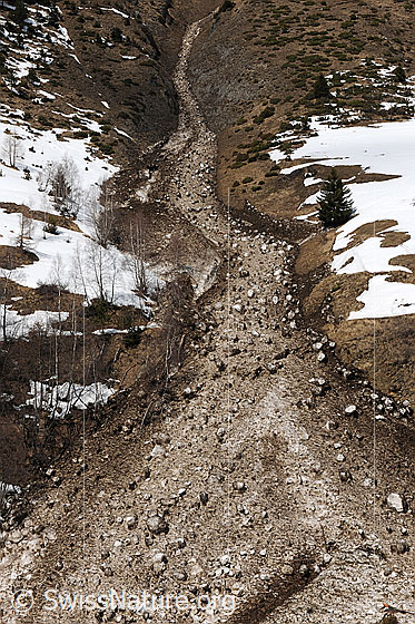 Foto: Lawinenzug und Lawinenkegel im Frühling. Daneben sind noch Schneefelder zu sehen.