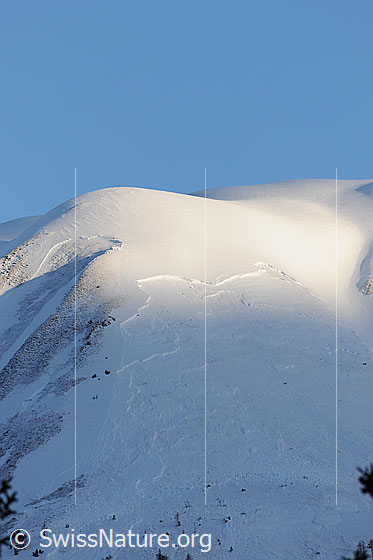 Foto: Schneebrett in der Region Fülhorn. Im Morgenlicht sind die beiden Anrisse gut zu erkennen. Die Bergflanke liegt noch im Schatten.