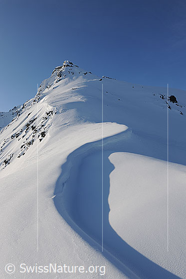 Foto: Geschwungene Wächte an Grat mit Schattenwurf auf die unberührte Schneefläche.