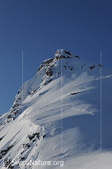 Foto: Verwehungen an Grataufschwung zum Stockhorn.