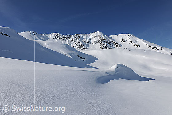 Foto: Weite schneebedeckte Fläche. Nur eine kleine Wächte mit Schattenwurf ragt aus der unberührten Schneefläche. Im Hintergrund ist das Hirli zu sehen.